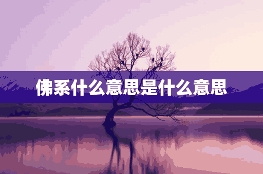 佛系什么意思是什么意思(佛系是啥意思是什么)